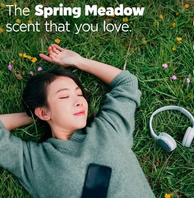 (2xPack)Tide Pods, Laundry Detergent, Spring Meadow 3 In 1, 16 count