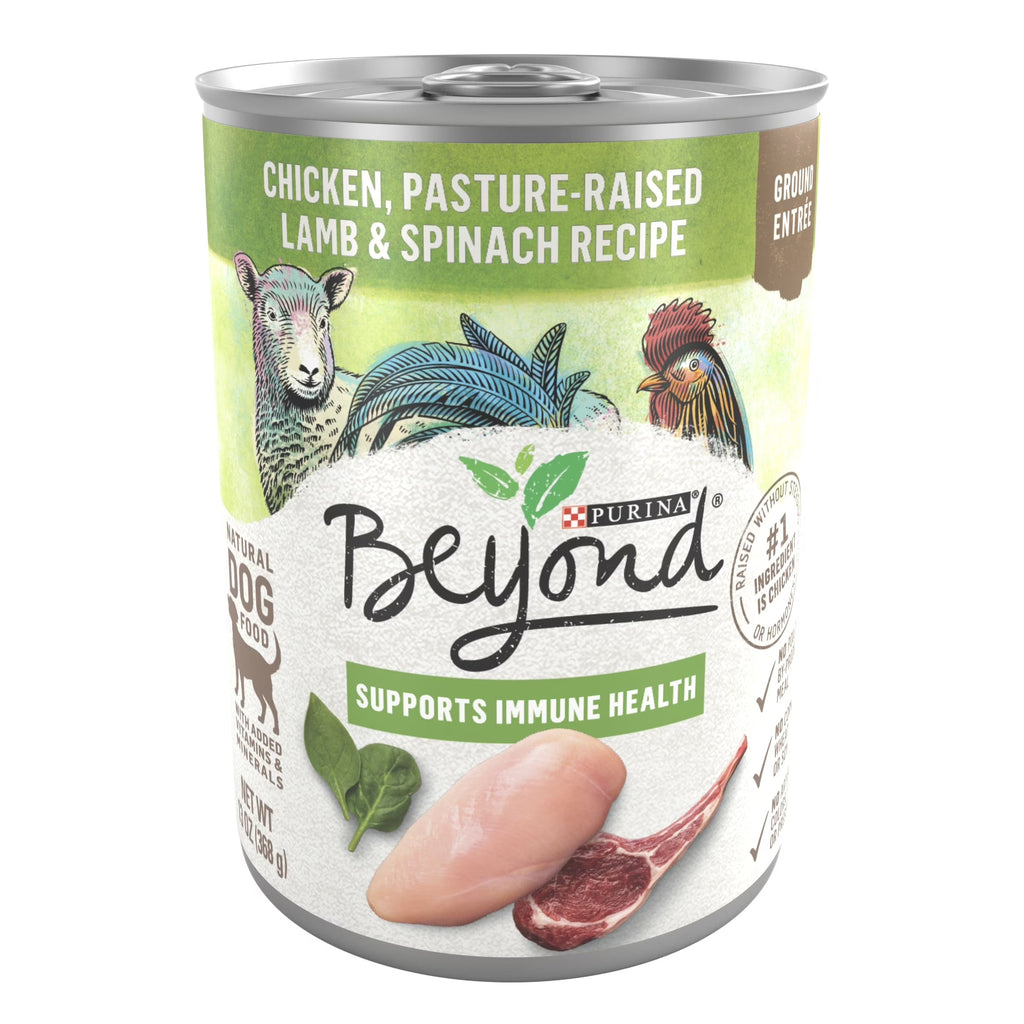 Purina Beyond Immune Health Wet Dog Food Real Soft Chicken, Lamb & Spinach, 13 oz Cans (12 Pack)