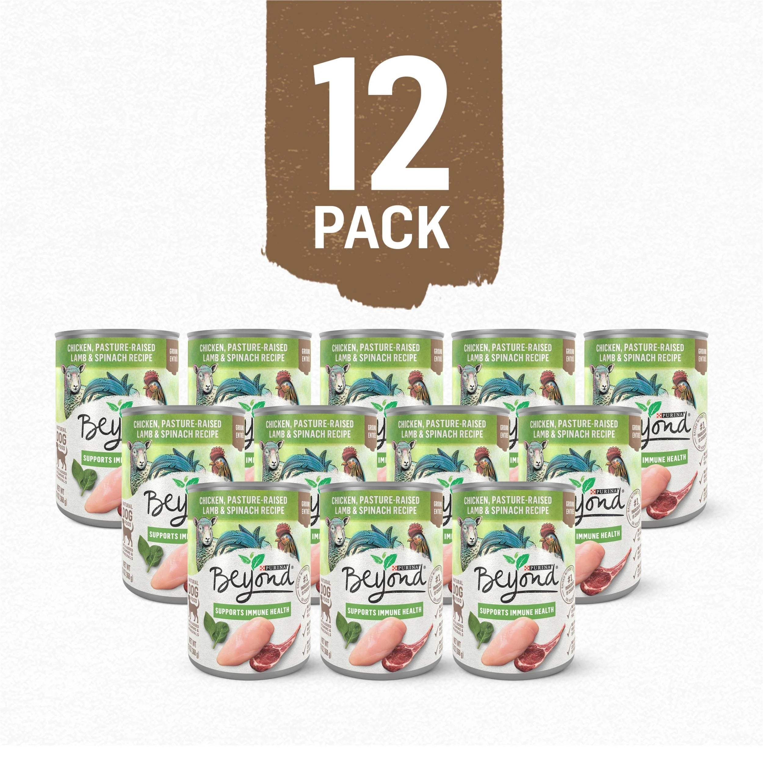 Purina Beyond Immune Health Wet Dog Food Real Soft Chicken, Lamb & Spinach, 13 oz Cans (12 Pack)