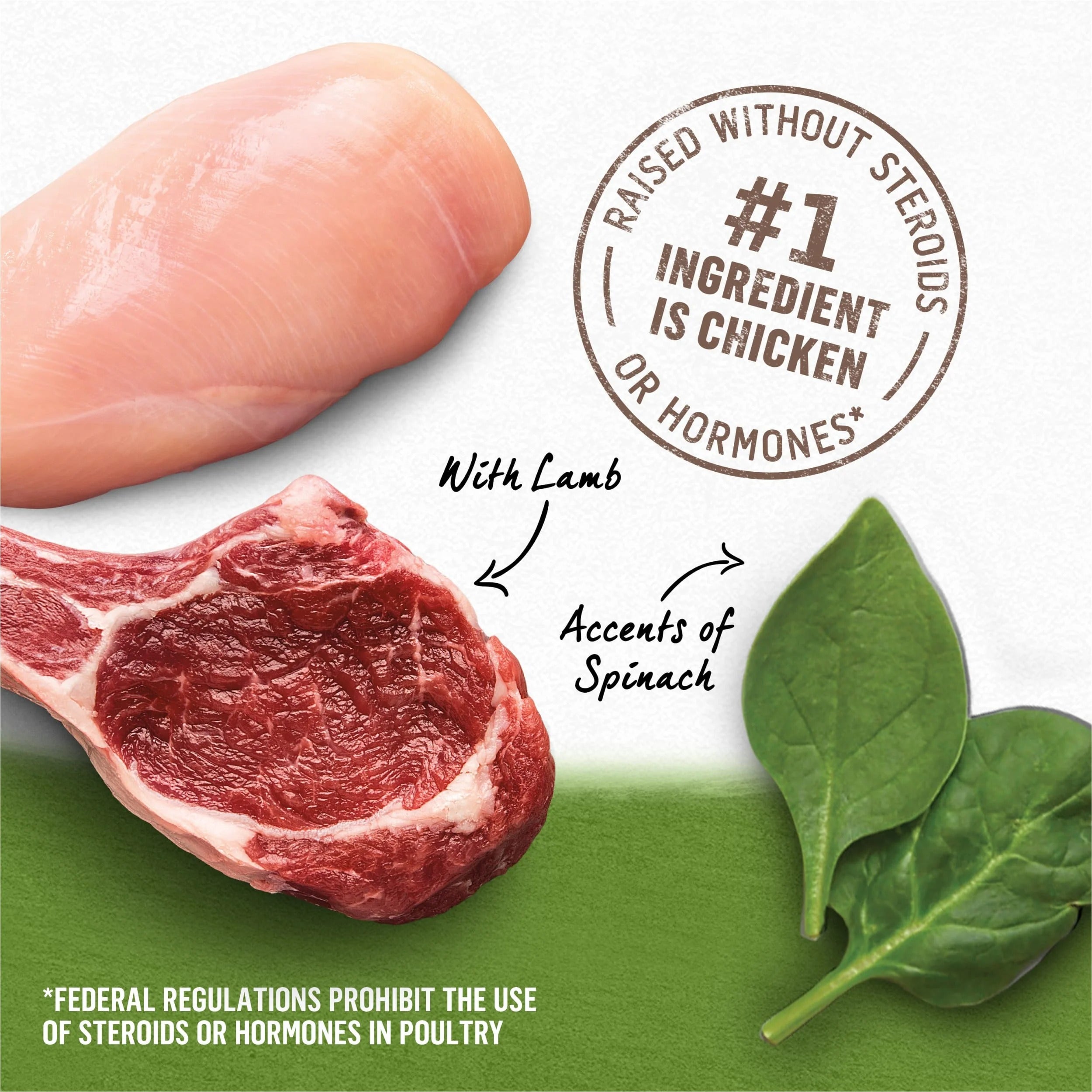 Purina Beyond Immune Health Wet Dog Food Real Soft Chicken, Lamb & Spinach, 13 oz Cans (12 Pack)