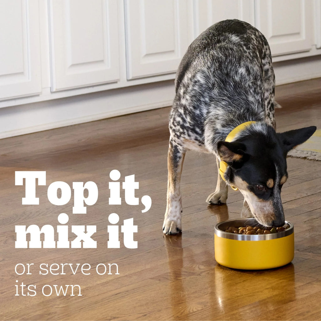 Pedigree Choice Cuts In Gravy Adult Canned Soft Wet Dog Food, Steak & Vegetable Flavor, 13.2 Oz. Can