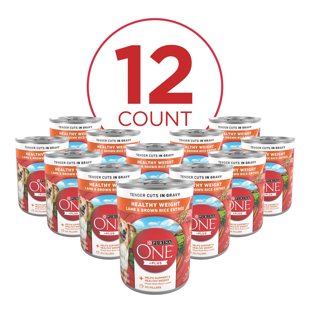 Purina ONE PLUSNatural Wet Dog Food, High Protein Soft Lamb & Brown Rice, 13 oz Cans (12 Pack)