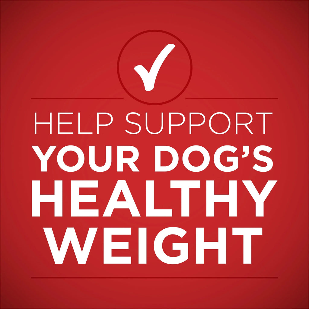 Purina ONE PLUSNatural Wet Dog Food, High Protein Soft Lamb & Brown Rice, 13 oz Cans (12 Pack)