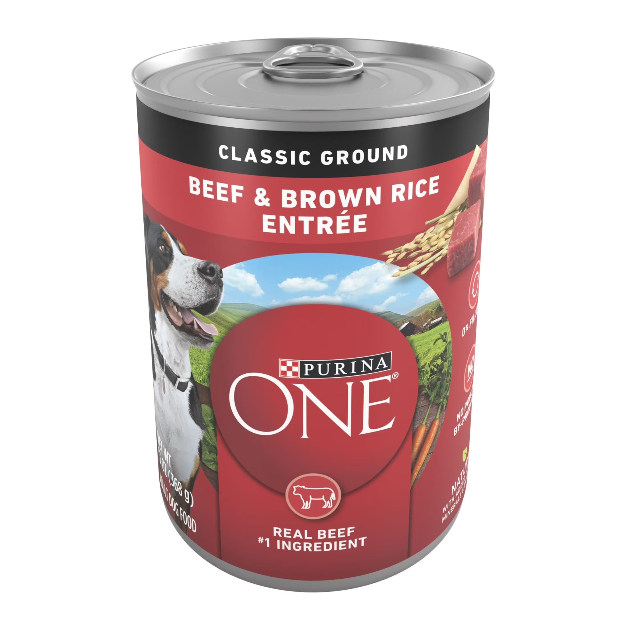 Purina ONE Classic Ground Wet Dog Food for Adults Soft High Protein Beef & Brown Rice, 13 oz Can