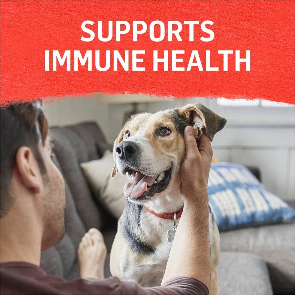 (6 pack) Purina Beyond Immune Health Wet Dog Food High Protein Ground Entree Beef & Potato, 13 oz Can